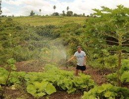 Editorial JC: A esperança é verde
