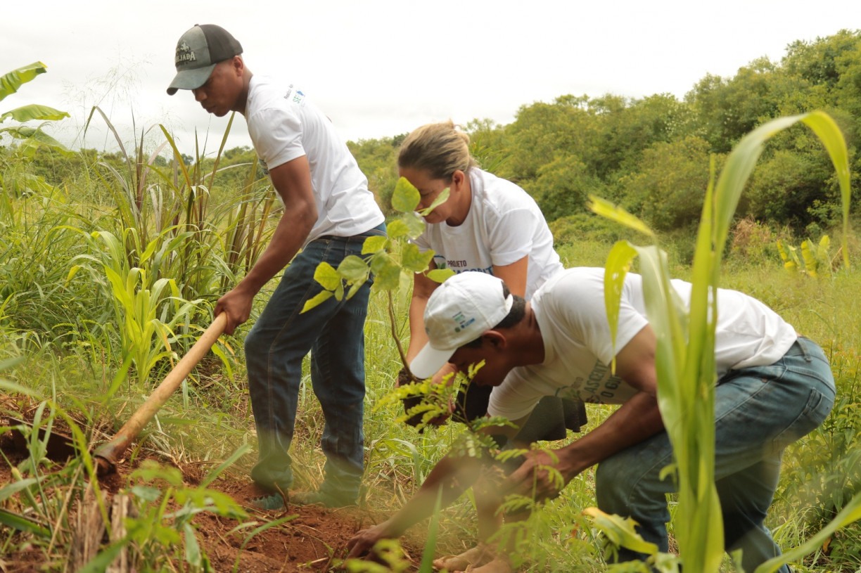 O trabalho busca implantar agroflorestas para a recuperação de 10 nascentes do Rio Goitá, no intuito de recuperar o meio ambiente local
