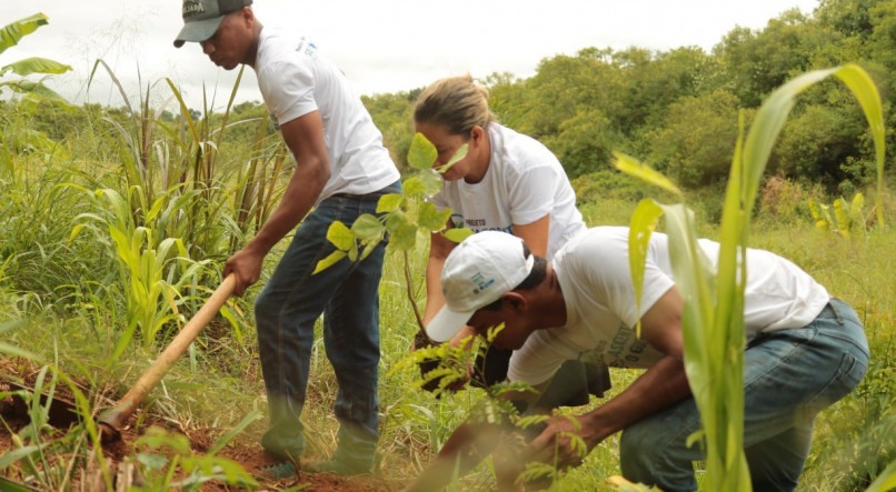 O trabalho busca implantar agroflorestas para a recuperação de 10 nascentes do Rio Goitá, no intuito de recuperar o meio ambiente local