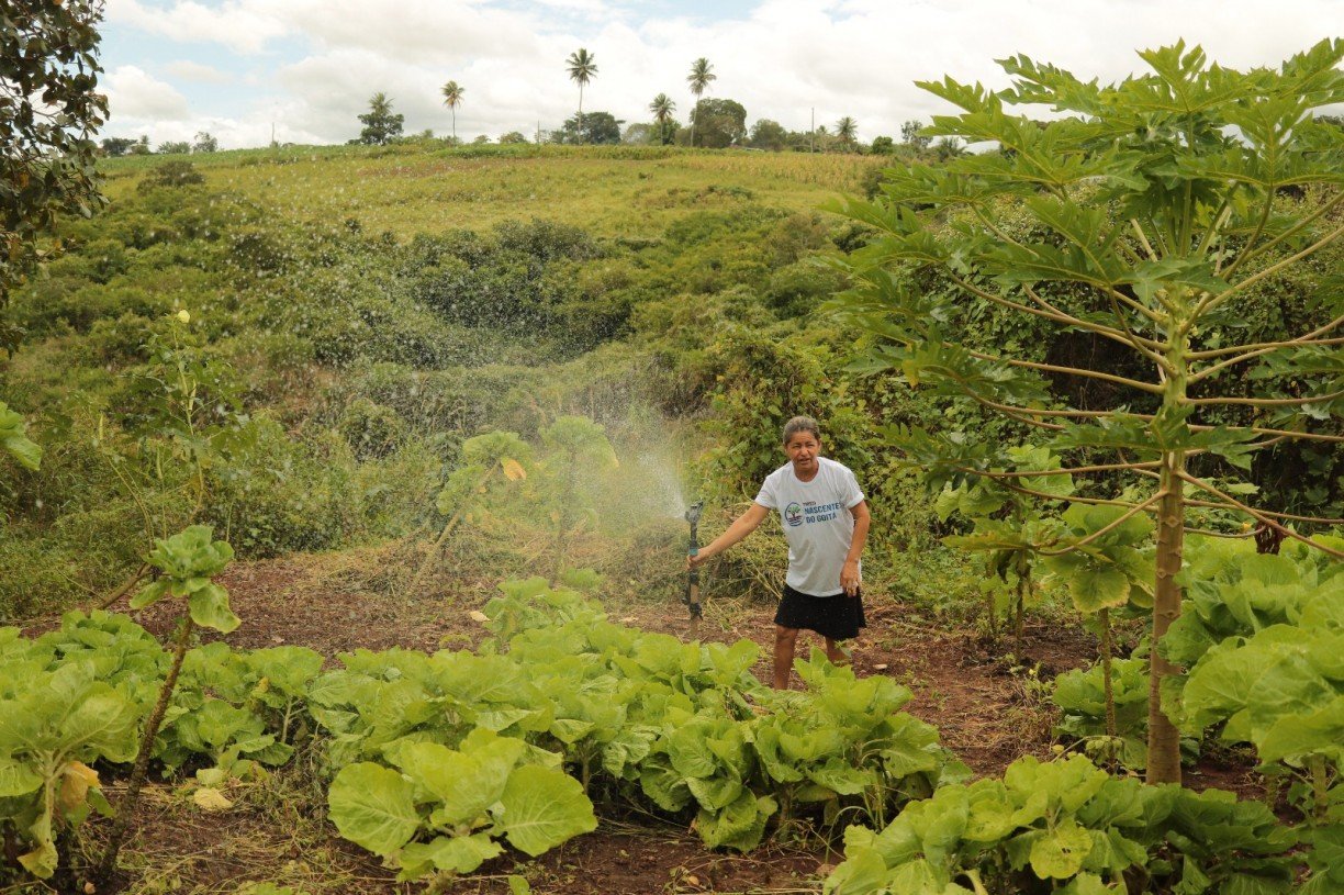 Em novembro, as oportunidades ficar&atilde;o mais expostas na Confer&ecirc;ncia das Na&ccedil;&otilde;es Unidas sobre Mudan&ccedil;a Clim&aacute;tica 