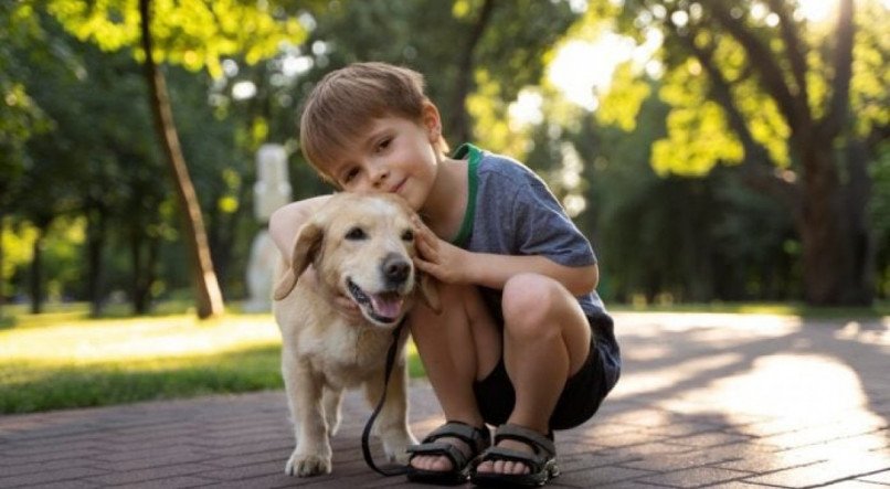 saiba quais s&atilde;o os benef&iacute;cios por ter um cachorro
