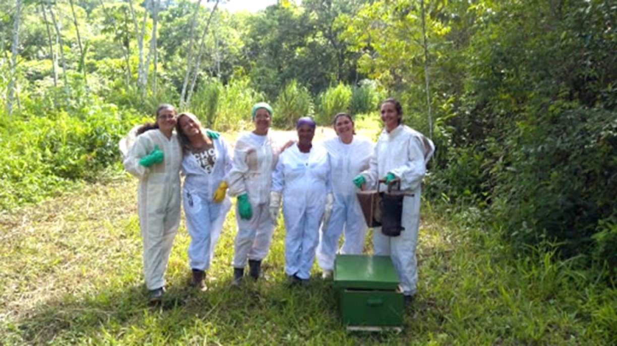 Grupo Agroflores foi pioneiro na apicultura feminina do município de Barreiros