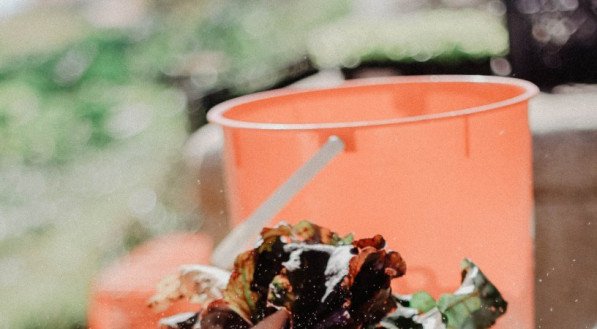 Com essas propriedades, a mistura dos ingredientes em um suco natural é capaz de agir diretamente no combate a inúmeros problemas de saúde