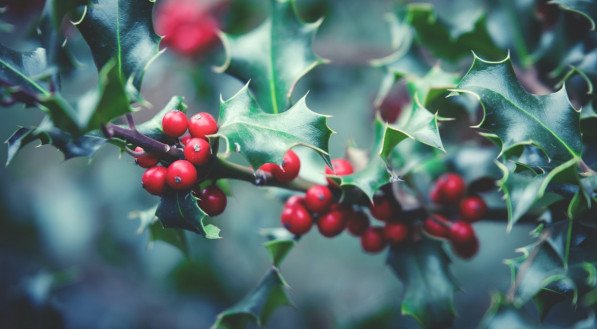 Tend&ecirc;ncias de decora&ccedil;&atilde;o de Natal para porta de entrada em 2023