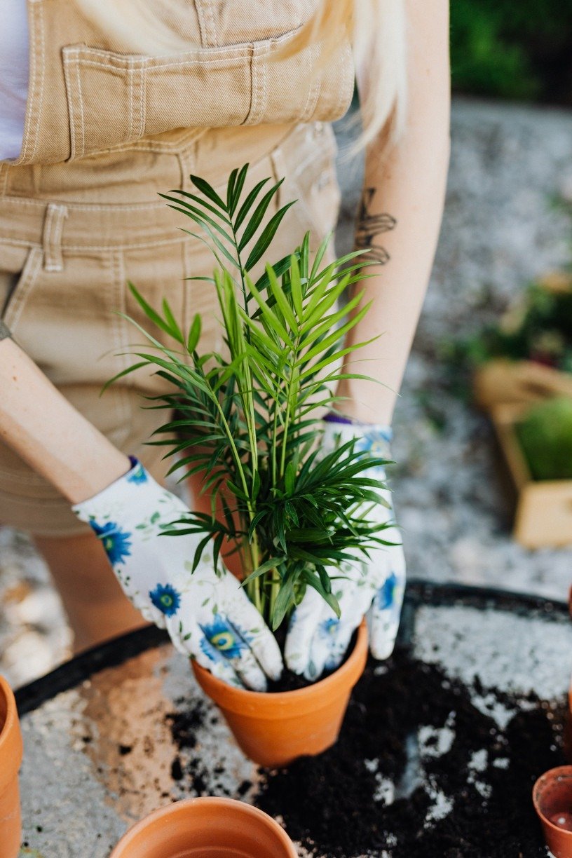 Foto de Karolina Grabowska: https://www.pexels.com/pt-br/foto/jardinagem-pessoa-plantar-planta-4751977/