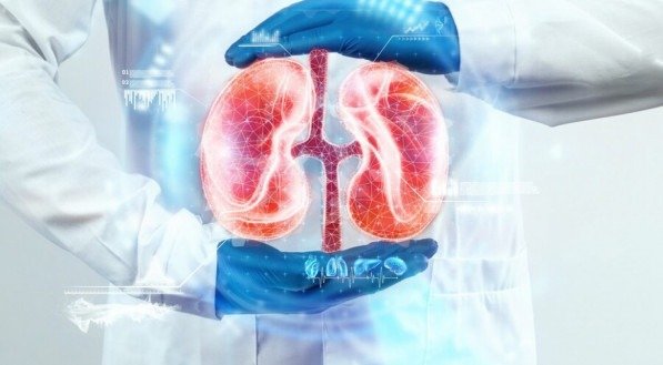 O cortisol é produzido pelo córtex adrenal, localizado acima dos rins