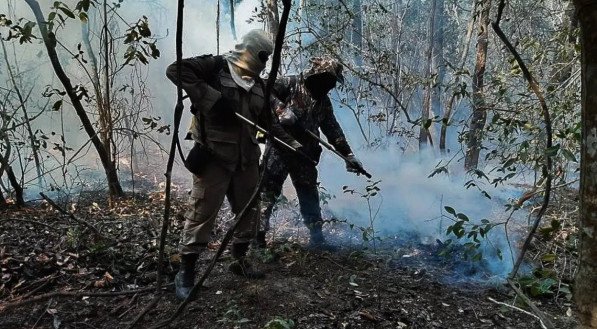 Dois estados decretam emergência em razão de incêndios no Pantanal