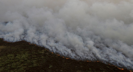 Porto Jofre (MT), incêndio florestal que atinge o Pantanal