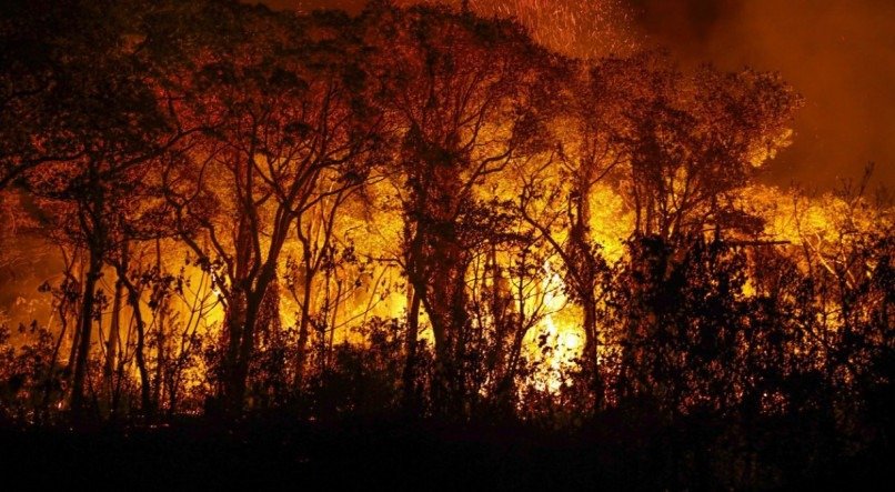 Pantanal tem mais de 3 mil incêndios em novembro; recorde histórico 