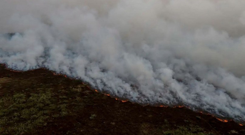 Atualmente, há mais de 300 servidores trabalhando no combate aos incêndios no Pantanal