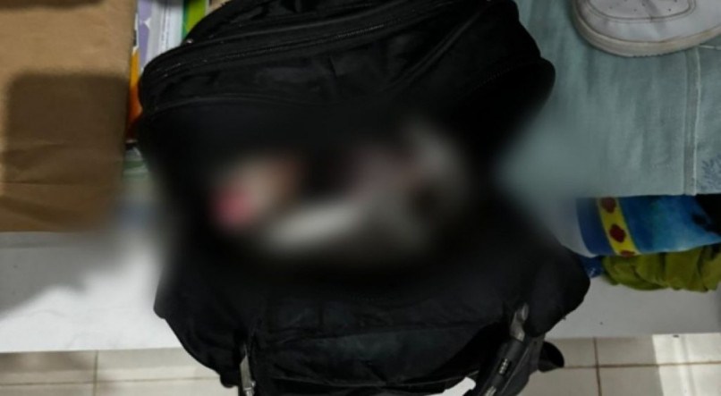 Polícia encontra feto de 8 meses dentro de mochila após adolescente relatar aborto