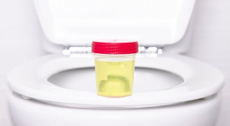 A presença de espuma na urina pode servir como sinal de alerta para doenças