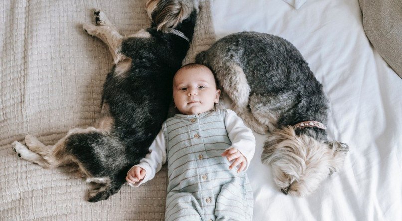 Cachorro e bebê.