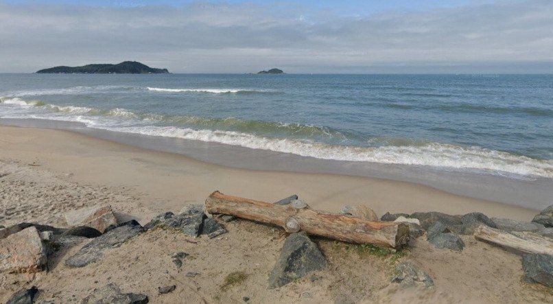 Corpo esquartejado em decomposição aparece em praia