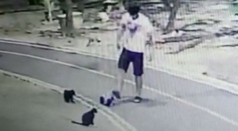 Homem foi filmado praticando maus-tratos contra gatos na Avenida Beira Rio