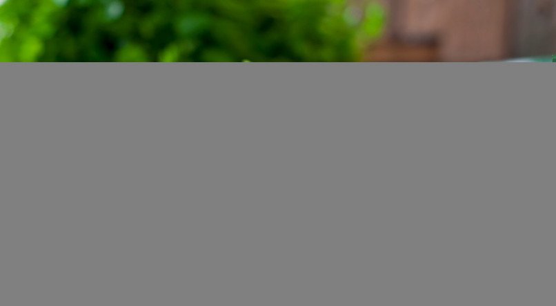 Confira receita de arroz &agrave; grega para ceia de Natal.