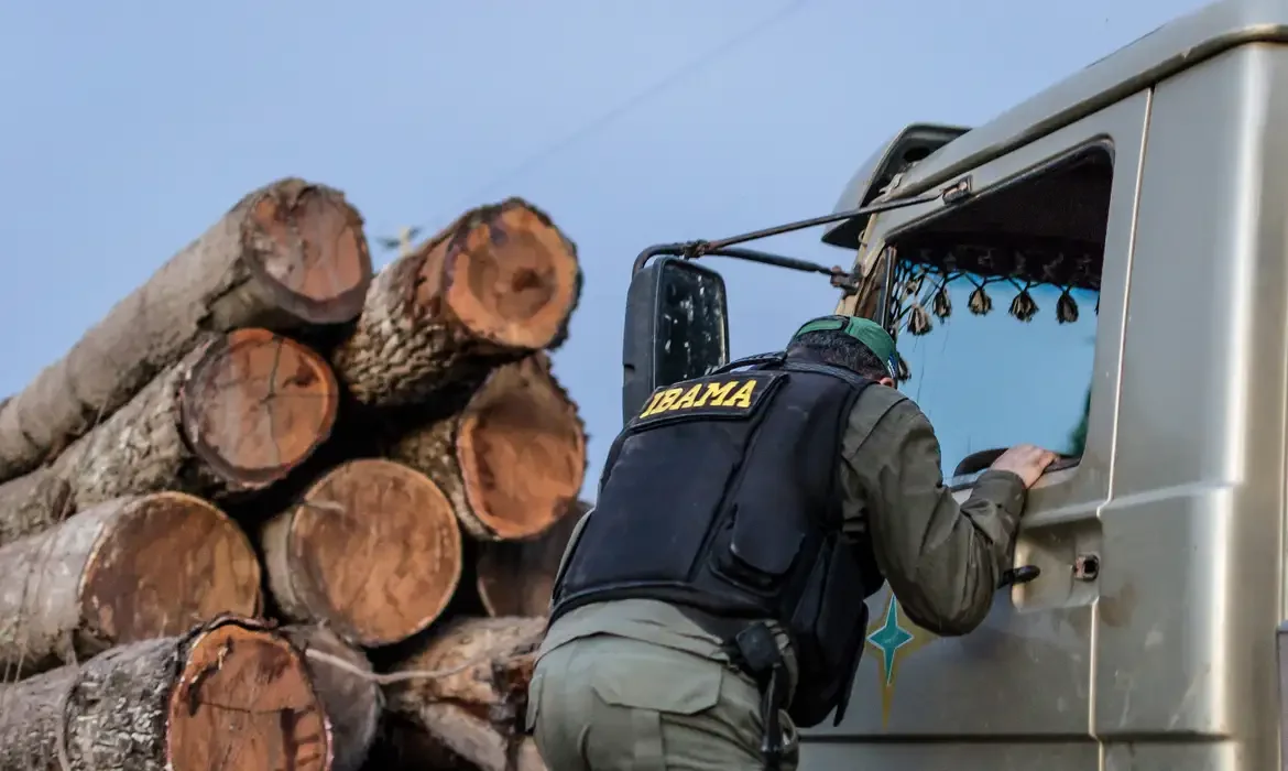 Foto da capa: Brasil