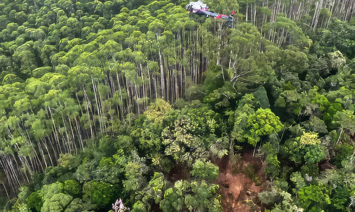 Foto da capa: Brasil