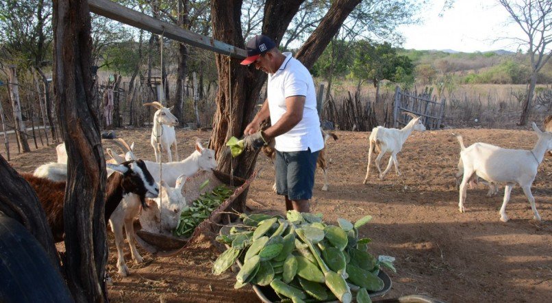 Divulgação Prorural