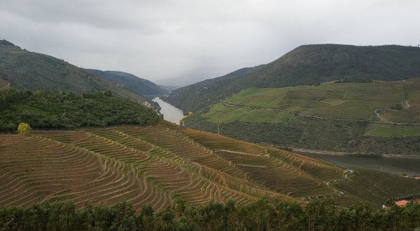 PAIXÃO PELO VINHO - No Douro, a Quinta Maria Izabel aposta no contemporâneo