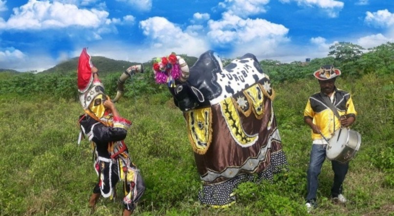 Vavá, do Boi Surubim, é o homenageado do Pré-Carnaval Multicultural 2024 de Caruaru
