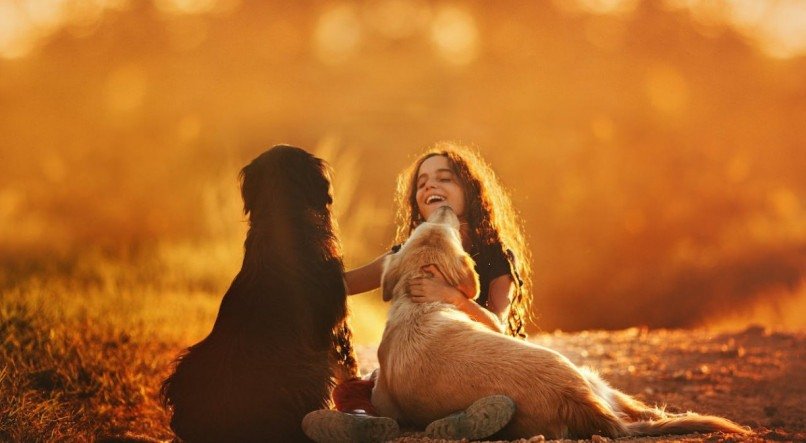 Cachorros podem ser ótimas companhias para crianças