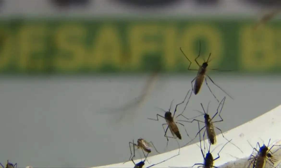 Rio de Janeiro registra mais de 17 mil casos de dengue este ano