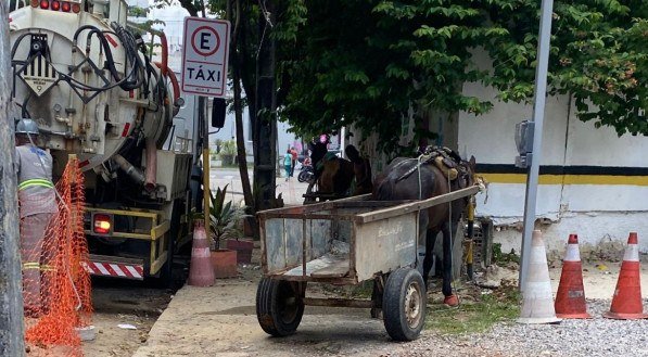 Descarte irregular de lixo e utilização de veículo de tração animal