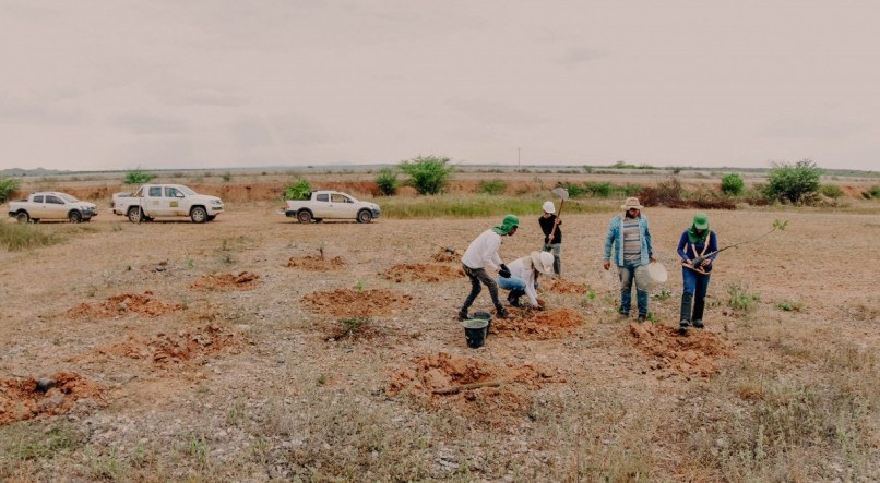 Em Pernambuco, 123 dos 184 municípios do Estado correm risco de desertificação, segundo estudo de 2021 da Empresa Brasileira de Pesquisa Agropecuária (Embrapa)