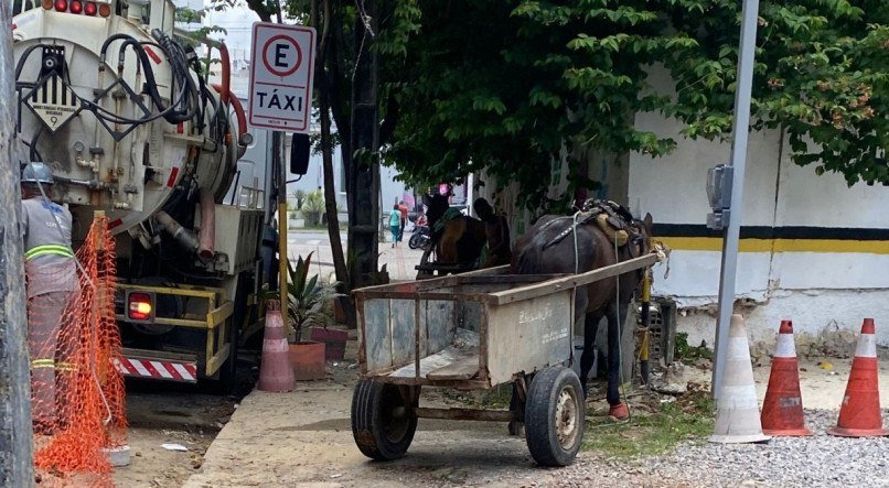 Descarte irregular de lixo e utilização de veículo de tração animal