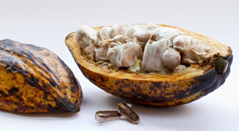 Veja a receita completa de suco de cacau.