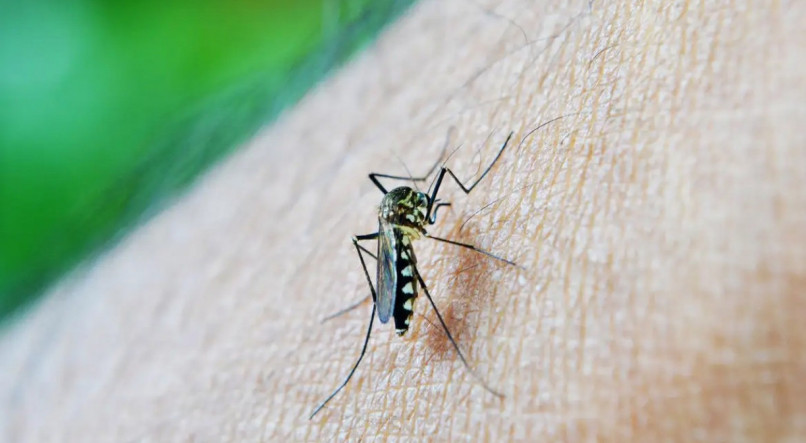 Brasil j&aacute; tem mais de 3 milh&otilde;es de casos de dengue em 2024