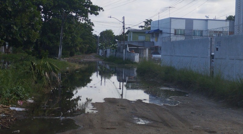 Rua em Afogados carece de asfaltamento e capinação do mato