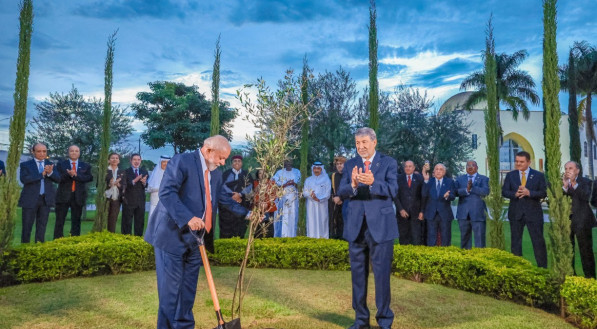 Lula cometeu gafe ap&oacute;s plantar oliveira na Embaixada Palestina em Bras&iacute;lia. O presidente perguntou ao embaixador palestino quando a &aacute;rvore daria uva, mas a planta gera azeitonas