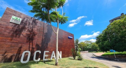 Samsung Ocean oferece aulas gratuitas para todo o Brasil