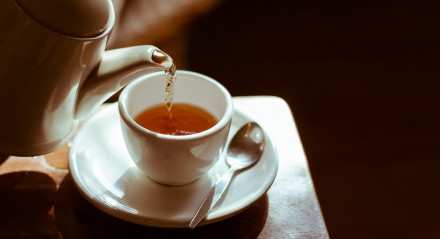 Chá de espinheira santa oferece diversos benefícios à saúde
