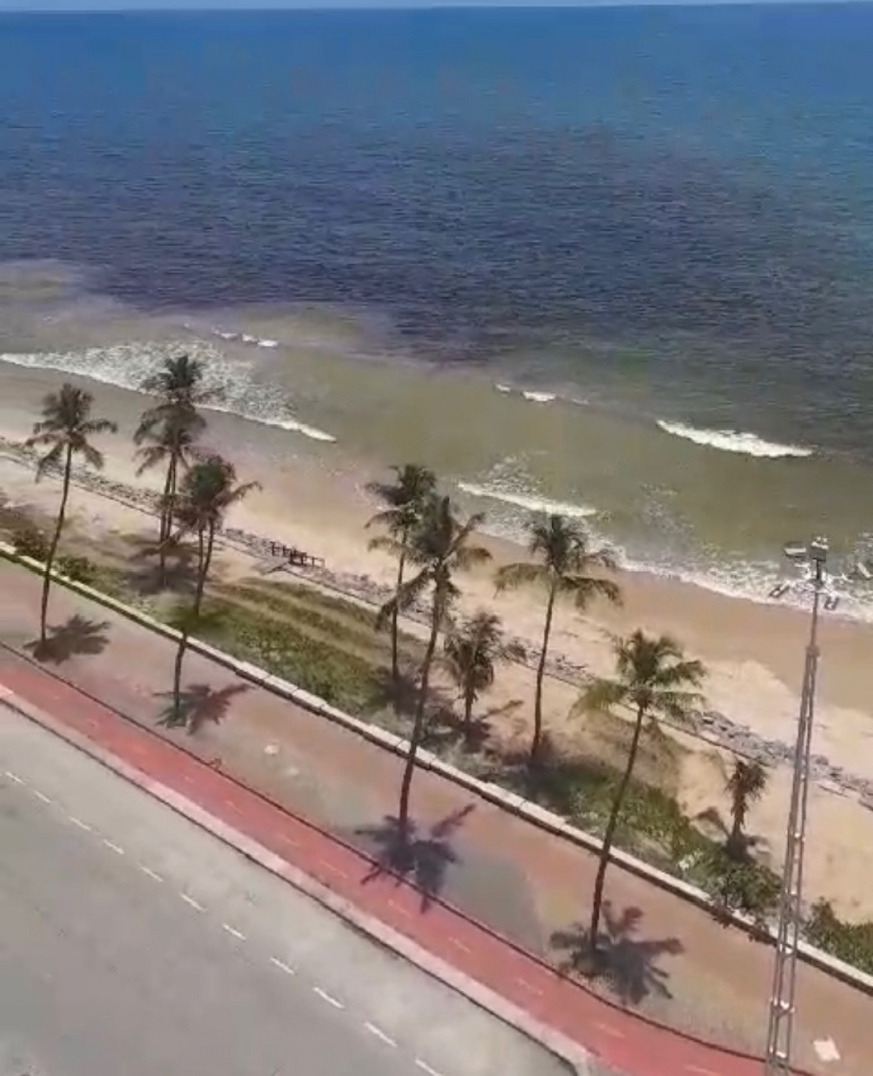 Maré vermelha: Análise da água do mar de Boa Viagem, no Recife, confirma maré vermelha; praia segue monitorada 