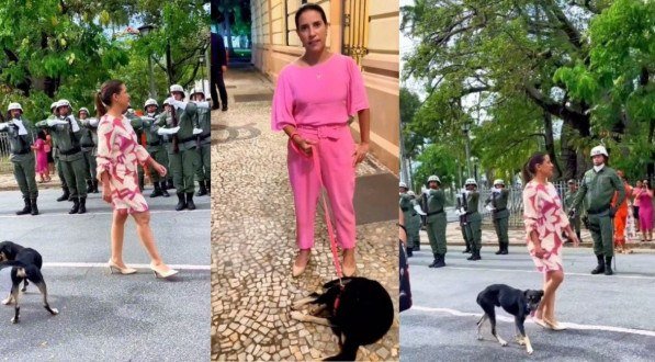 Cachorro que fez sucesso na celebração da Data Magna é adotado pelo governo e vai morar no Palácio do Campo das Princesas