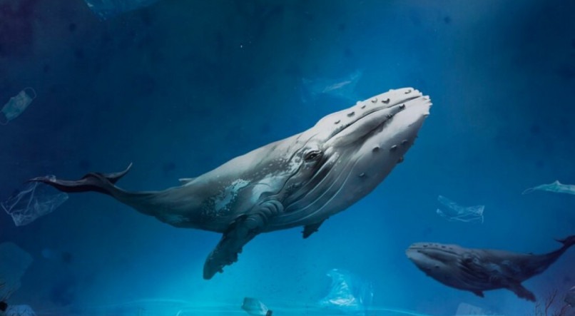 Veja o que pode significar sonhar com baleia