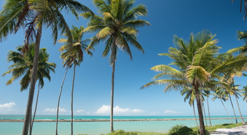 A estrada que dá acesso à Praia de Muro Alto, em Ipojuca, no Grande Recife é um dos pontos mais turísticos de Pernambuco. Ela vai ser restaurada pelo governo do Estado