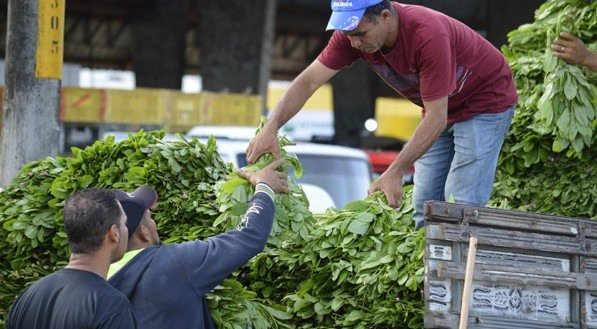 Tradicional Feira do Bredo do Ceasa-PE acontece nesta quinta-feira (28)