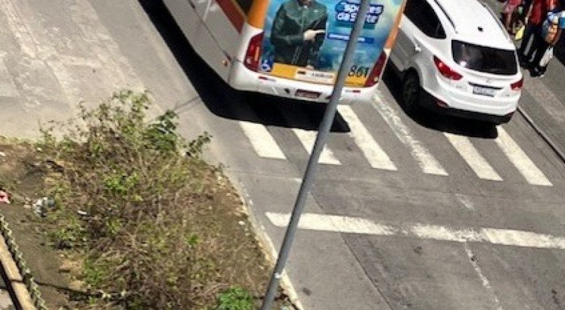 Canteiro central da Av. Conde da Boa Vista sem manutenção