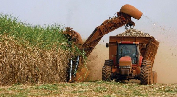Produtores e técnicos analisam dados de produção e custos no mapeamento da cana-de-açúcar em Pernambuco