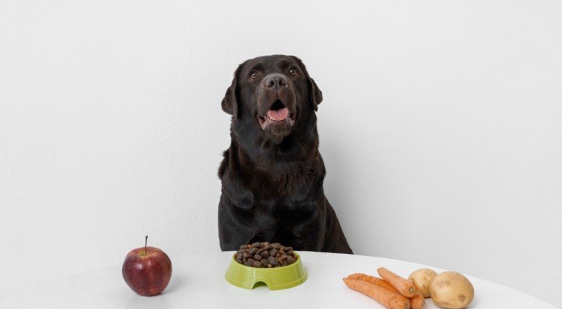 Benefícios da maçã para os cachorros