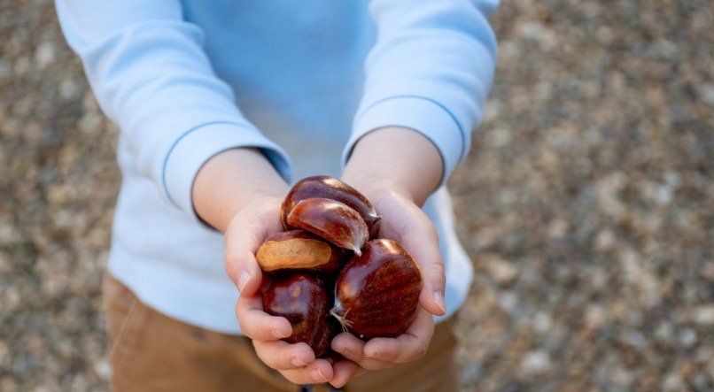 Imagem ilustrativa de castanhas portuguesas