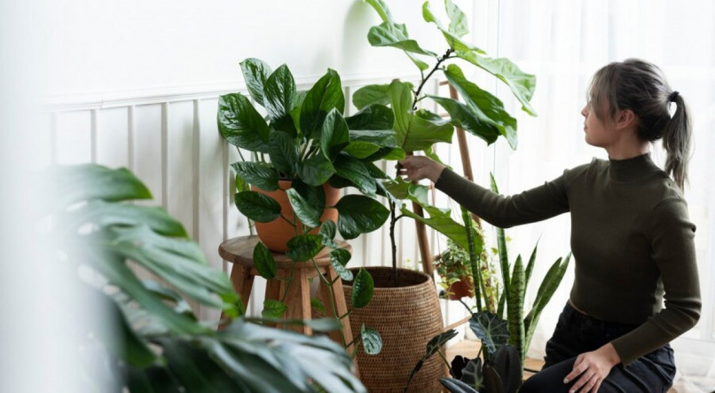 Mulher cuidando de plantas que deixam a casa mais fresca