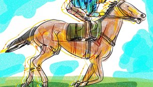cavalos