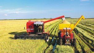 IVES GANDRA DA SILVA MARTINS