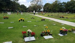 Ênio Rocha de Araújo e Andrea Q. Steiner