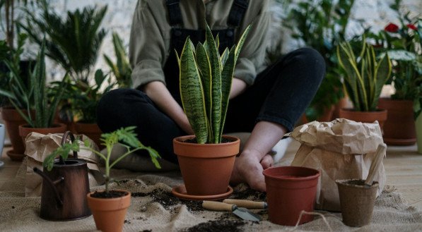 Mulher cuidando de plantas